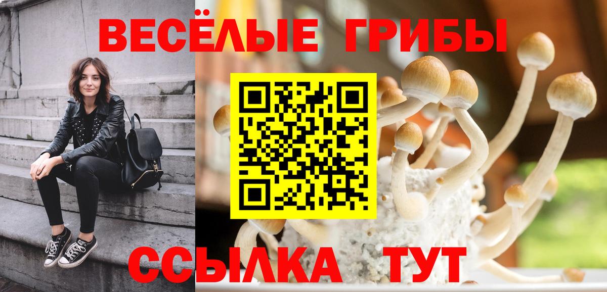 Галлюциногенные грибы MAGIC MUSHROOMS Калининград