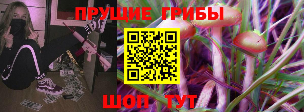 Калининград  Галлюциногенные грибы прущие грибы  Псилоцибиновые грибы MAGIC MUSHROOMS  Вход с VPN 